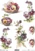 pansies, flower, flowers, leaf, leaves, flower petals, spring, R56